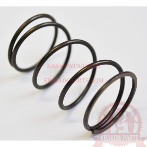 SPRĘŻYNA DRUM 24305-PWA1-900