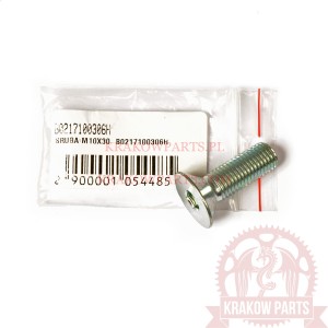 SCREW M10X30 Benelli TRK 502 X, original B0217100306H