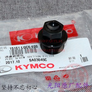 PLUG винт SECTION FILTER 15161-LGC6-E00 Kymco AK 550 (AK550), оригинал