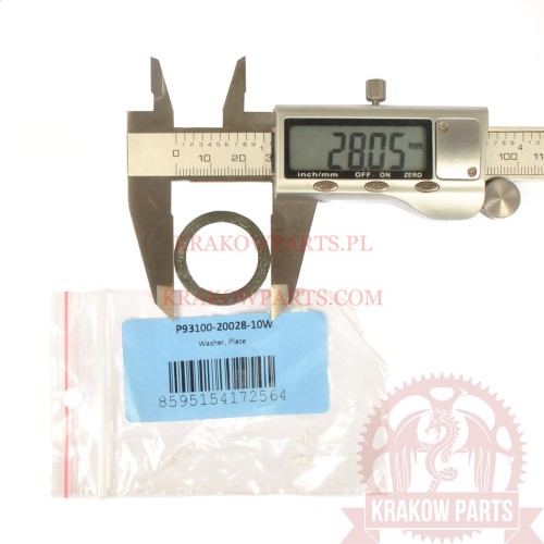 p93100-20028-10w.jpg