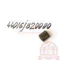 44016j820000.jpg