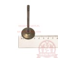gg-3028-in-2.jpg