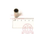 pc0989020-4.jpg