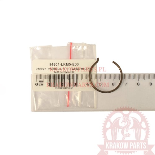 94601-lkm5-e00.jpg