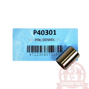 PIN, DOWEL TGB Blade 425, Blade 1000, Target 425, Target 525, Target 550, oryginał P40301