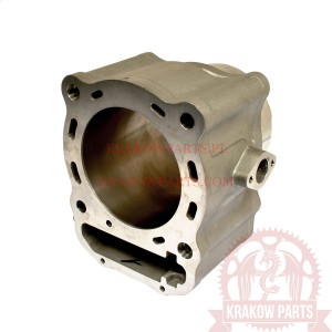CYLINDER Linhai ATV 700 Bighorn, LH 700 UTV, M750 EFI, original 71785