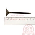 GG-4017-EX-2.jpg