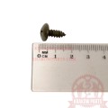 10520-1.jpg
