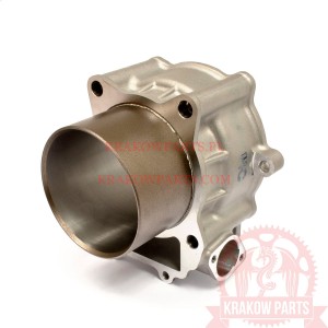 Цилиндр Kymco Maxxer 450, Maxxer 450, оригинал 12100-PTA1-900