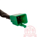 33701-LGR5-E10-3.jpg