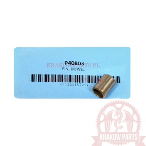 PIN, DOWEL TGB Blade 425, Blade 1000, Target 425, Target 525, Target 550, oryginał P40803