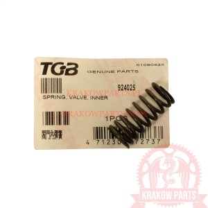 SPRING, Zawór, INNER TGB Blade 425, Blade 550, Target 425, Target 525, oryginał 924025