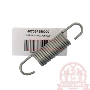 SPRING 40702P250000