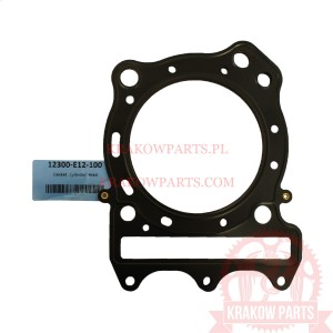 GASKET, cylinder head Access WARRIOR 450, original 12300-E12-100