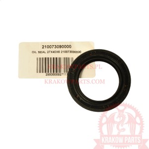 Oil seal BENELLI 210073090000 210073090000