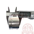 pf-10-009-0009-1.jpg