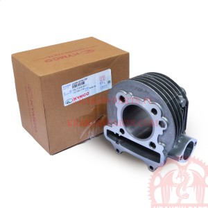 Cylinder Kymco Agility City 125, People One 125, Super 8 125, original 12100-GFY6-C00