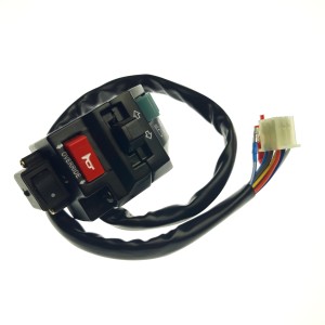 SWITCH ASSY(USED FOR EUROPE) Linhai original 30114