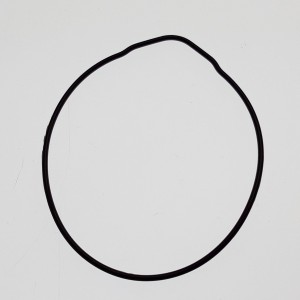 Ring,Oil,Waterproof,Cylinder Access DRR 100 RACE, original 12310-E01-100