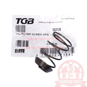 FILTR OLEJU Śruba SPG. TGB Blade 250, Blade 325, oryginał 923135