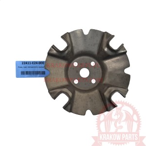 Plate, Cam Access original 22411-E24-000