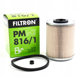 Filtr paliwa Renault Laguna II 00-07 Master II 98 Megane II 02-10 Scenic II, FILTRON PM 816/1