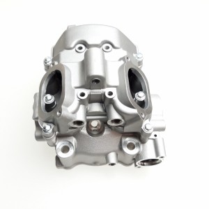 Głowica cylindra Linhai 500 Promax E4, 500 T3b EFI, M550L, Landforce 550L, T-BOSS 550 E4 (EPS), oryginał 35864